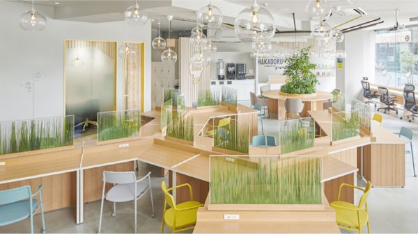 HAKADORU 新宿三丁目店